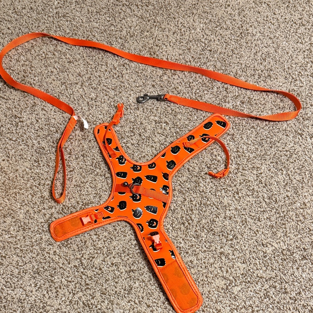 Orange Cat Harness with Black pumpkin Pattern Nwot